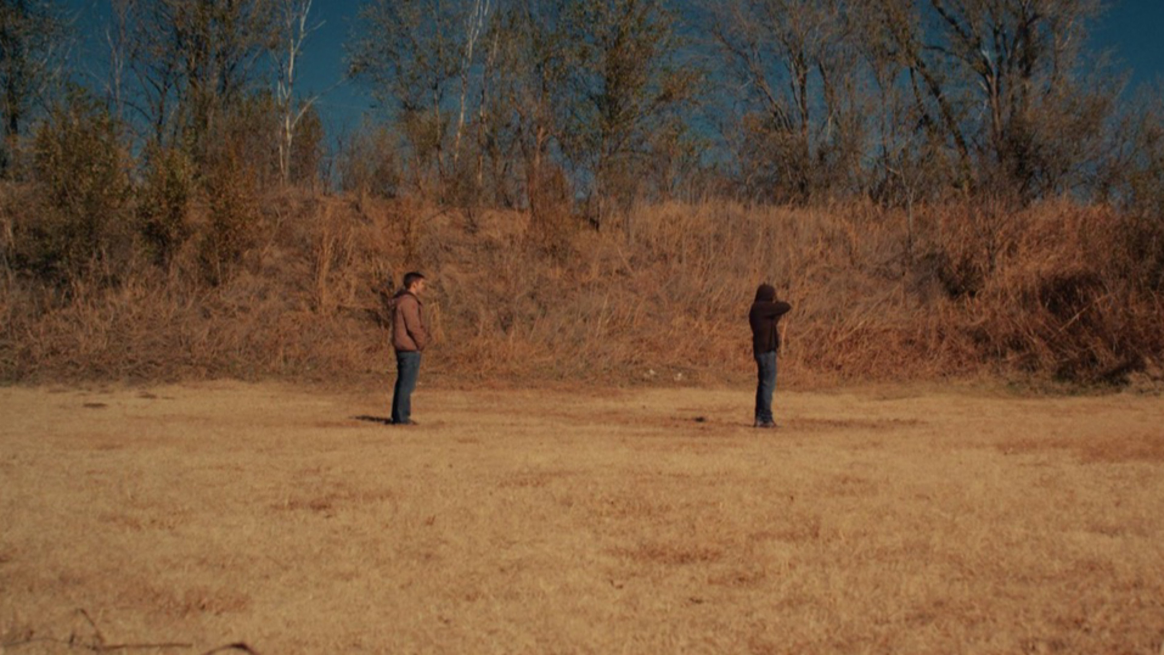 Backdrop for The Monsters