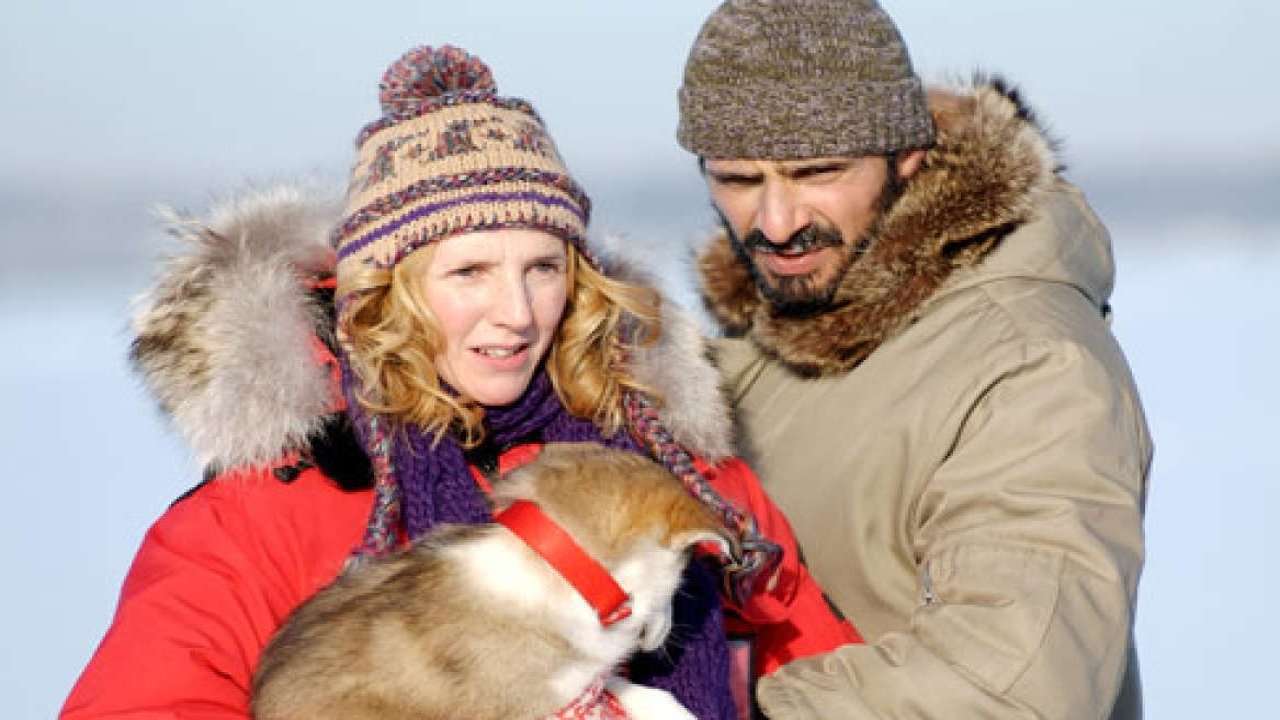 Backdrop for Romaine 30° Below