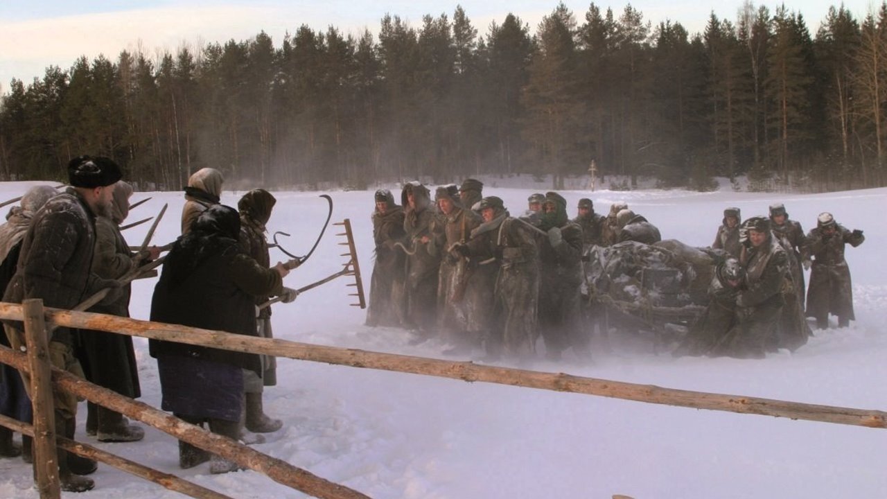 Backdrop for Twilight