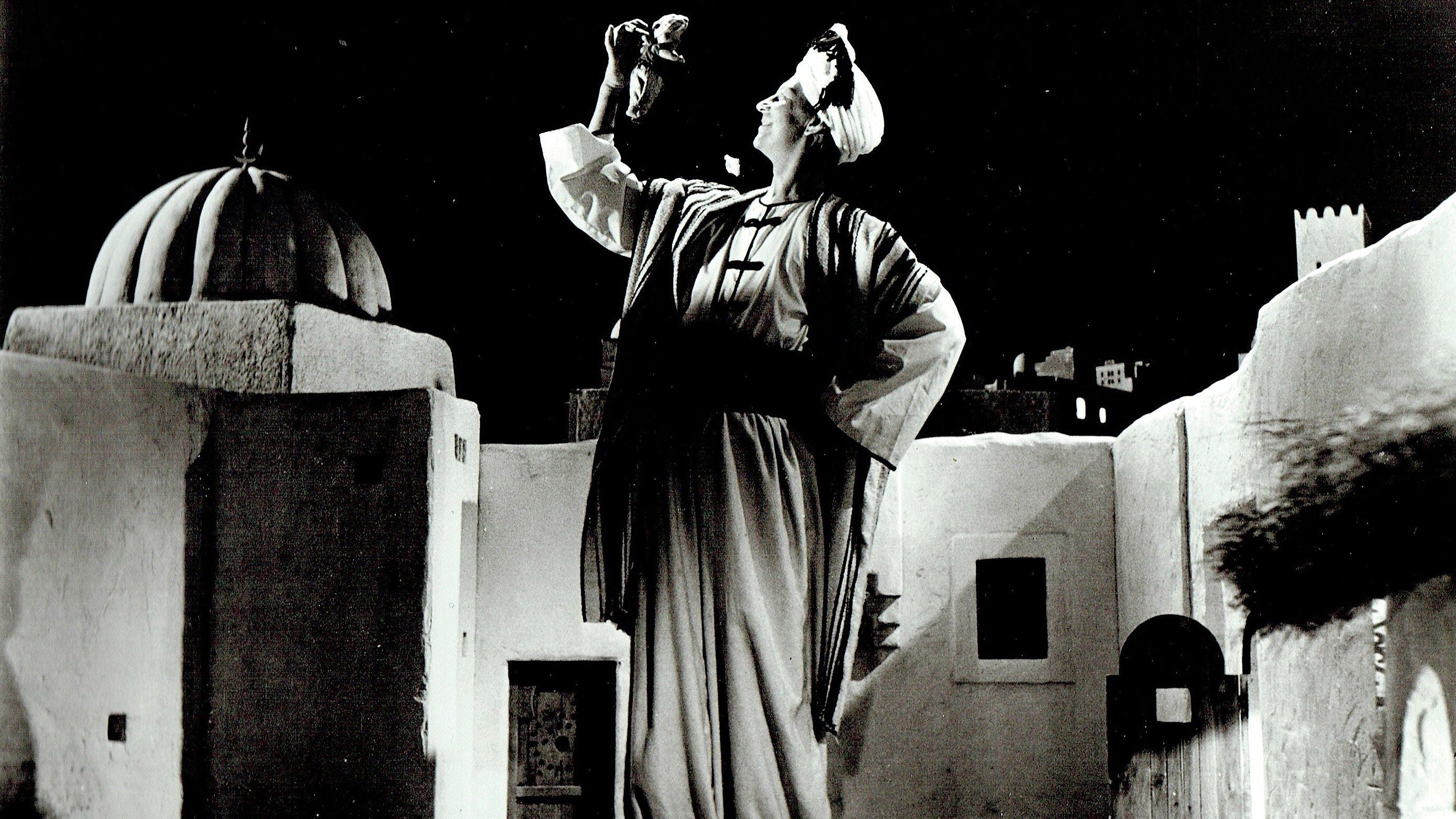 Backdrop for The Wonders of Aladdin