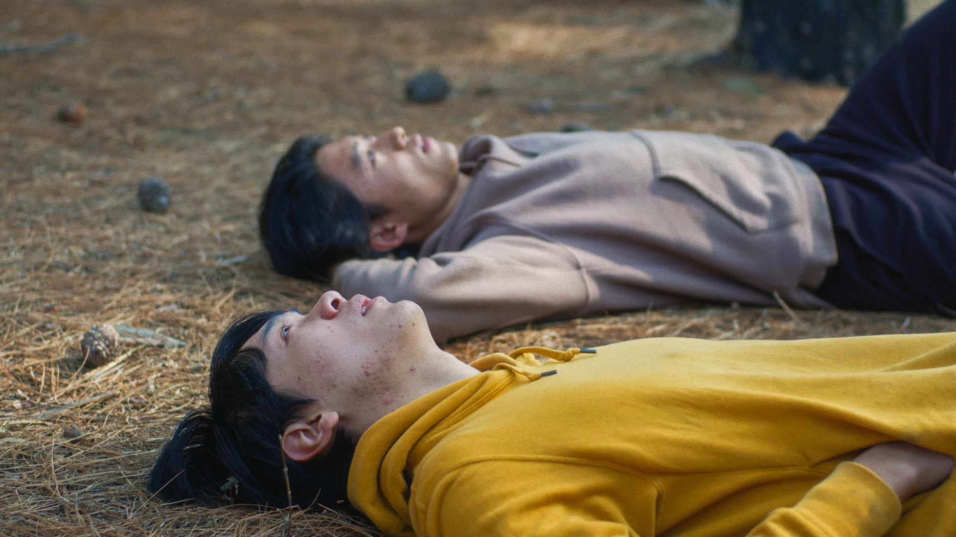 Backdrop for State of Statelessness