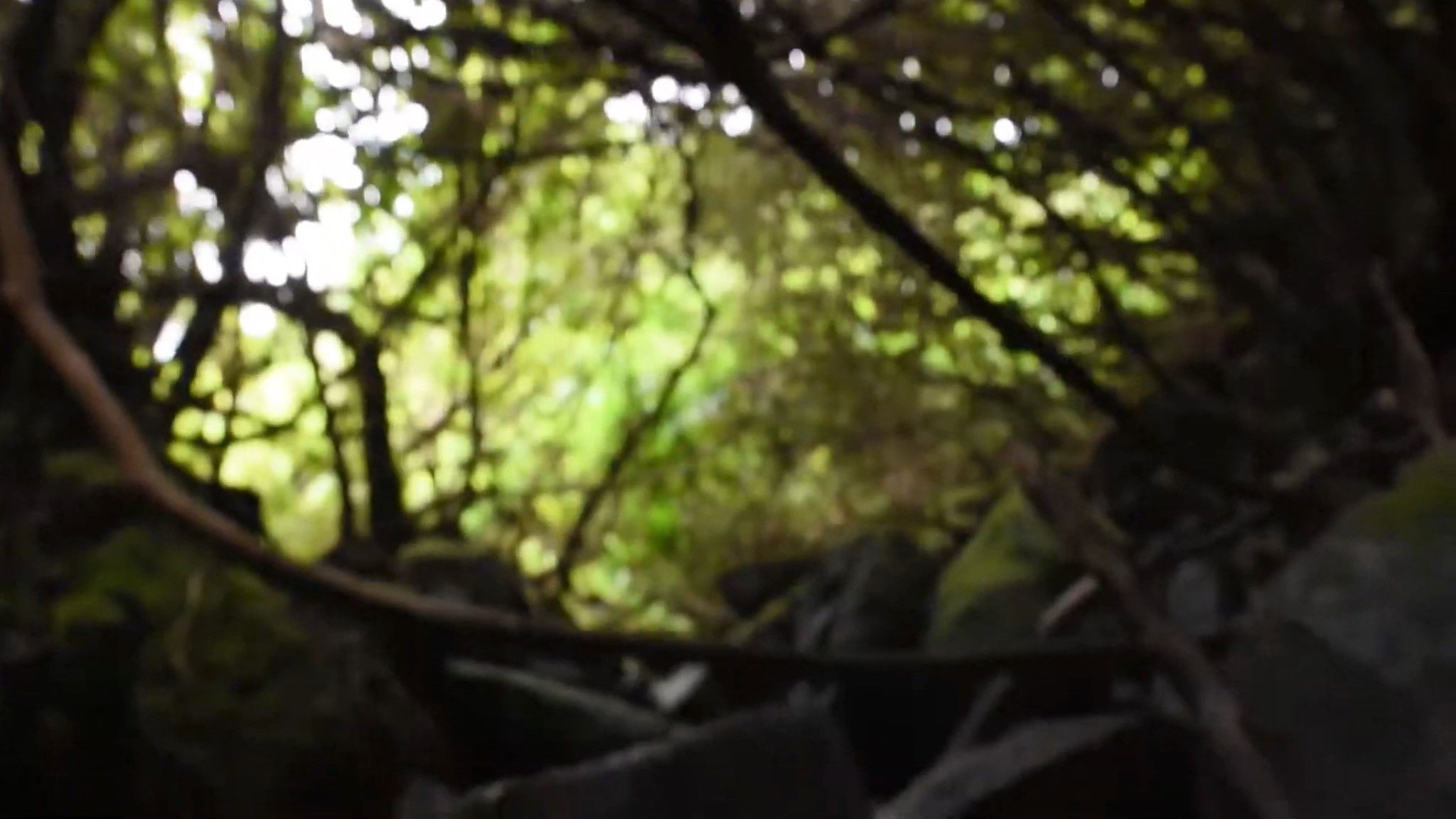 Backdrop for Inner Journey