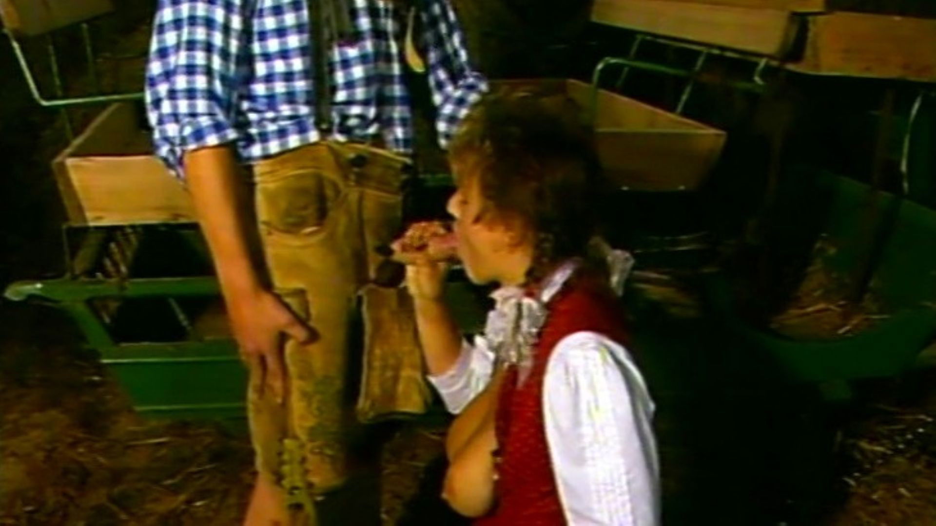 Backdrop for Heidi 3: In der Heidi ist es doch am schönsten