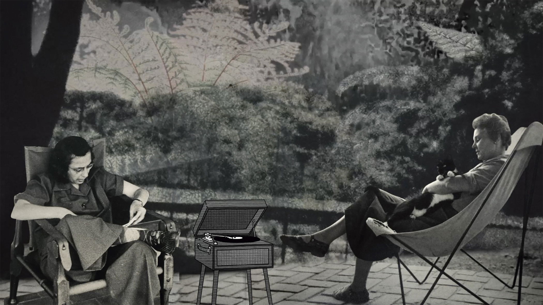 Backdrop for Elizabeth Bishop: From Brazil with Love