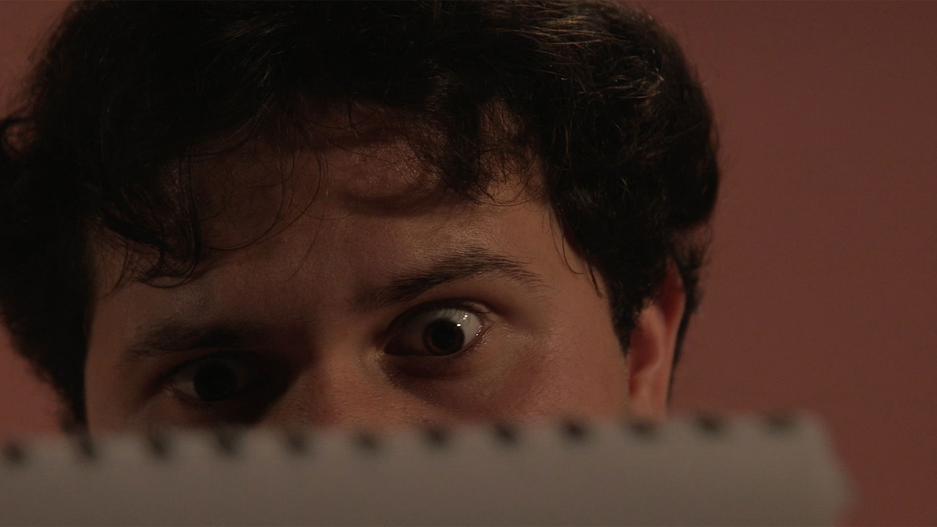 Backdrop for La Magia del Papel