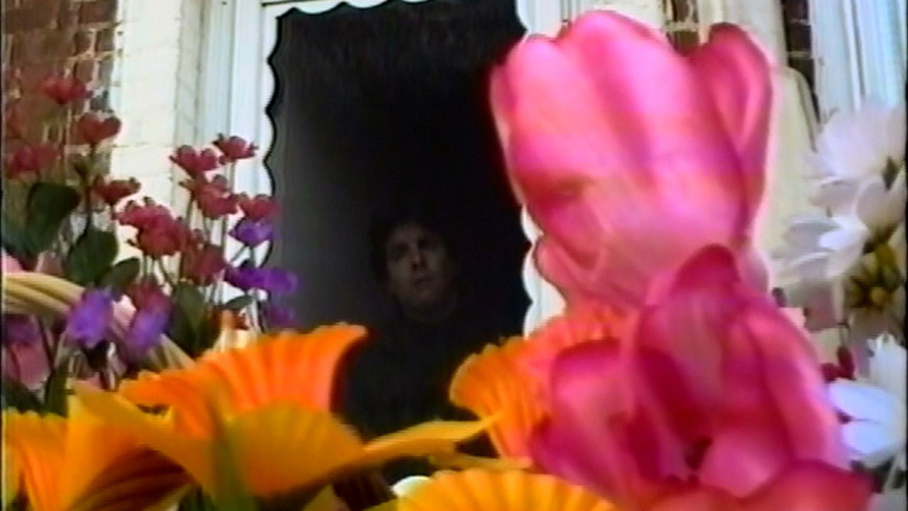 Backdrop for Octubre