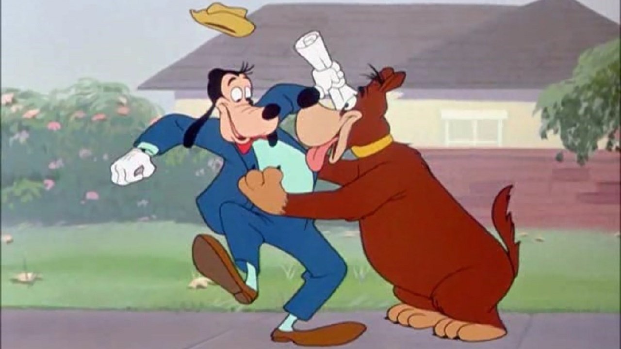 Backdrop for Man's Best Friend