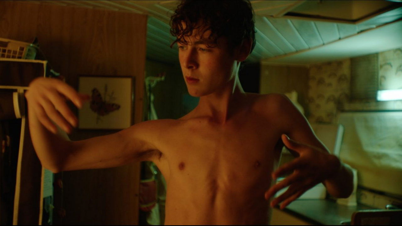 Backdrop for Beautiful Alexander