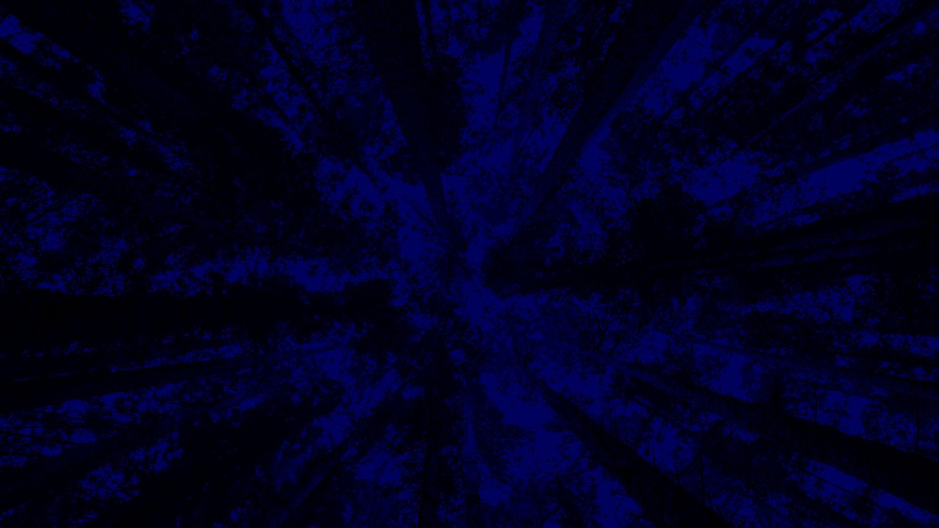 Backdrop for New York City Opera: A Little Night Music