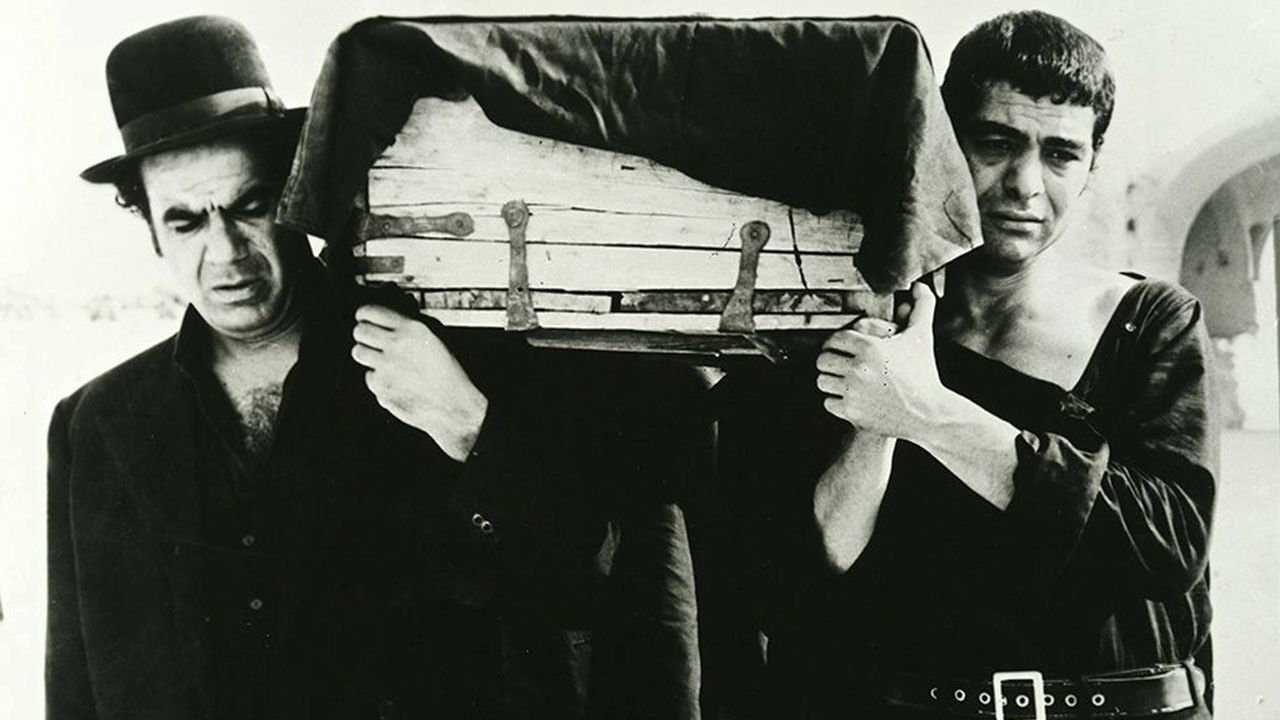 Backdrop for The ring-necked dove