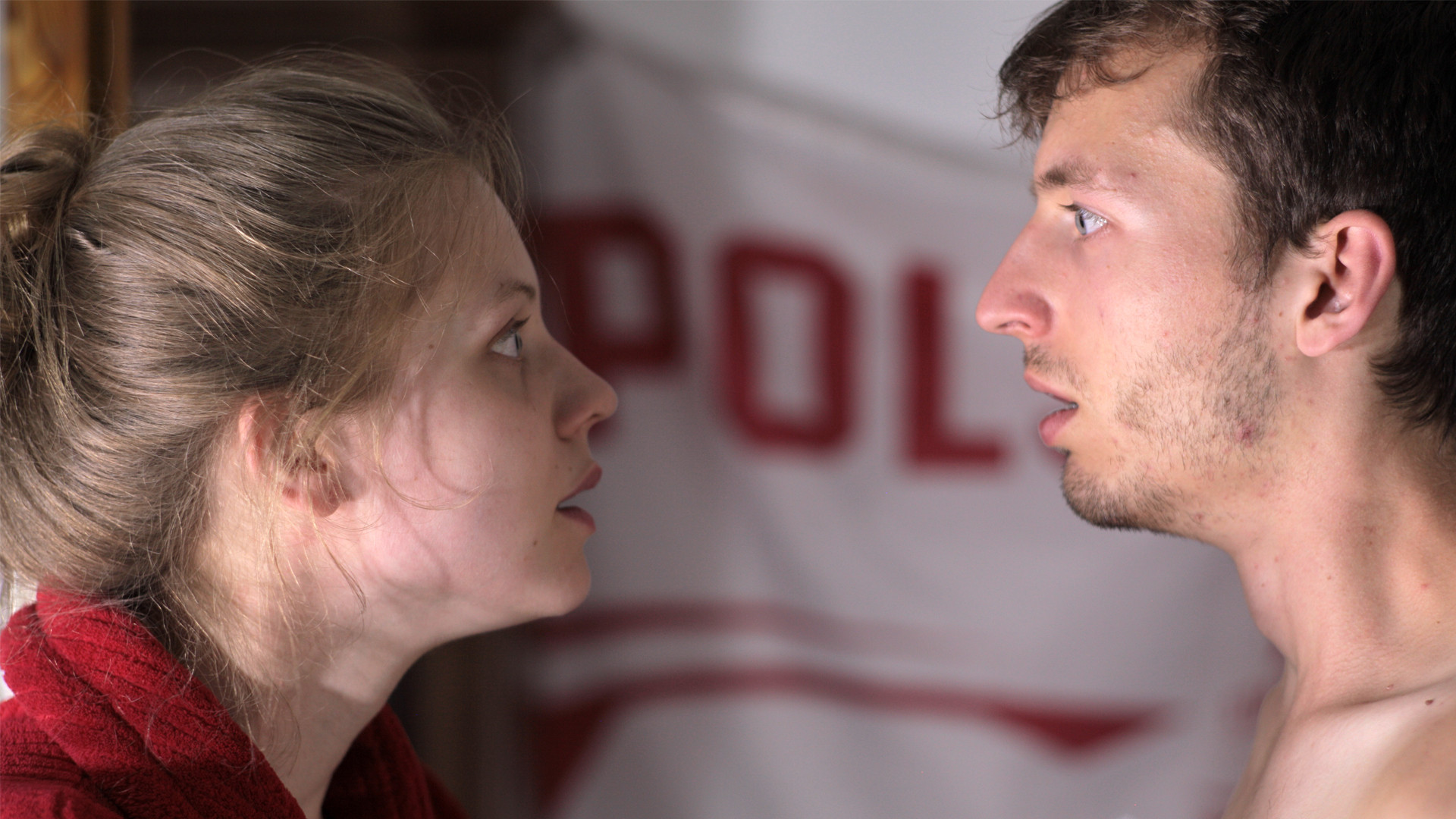 Backdrop for Fortune Flies