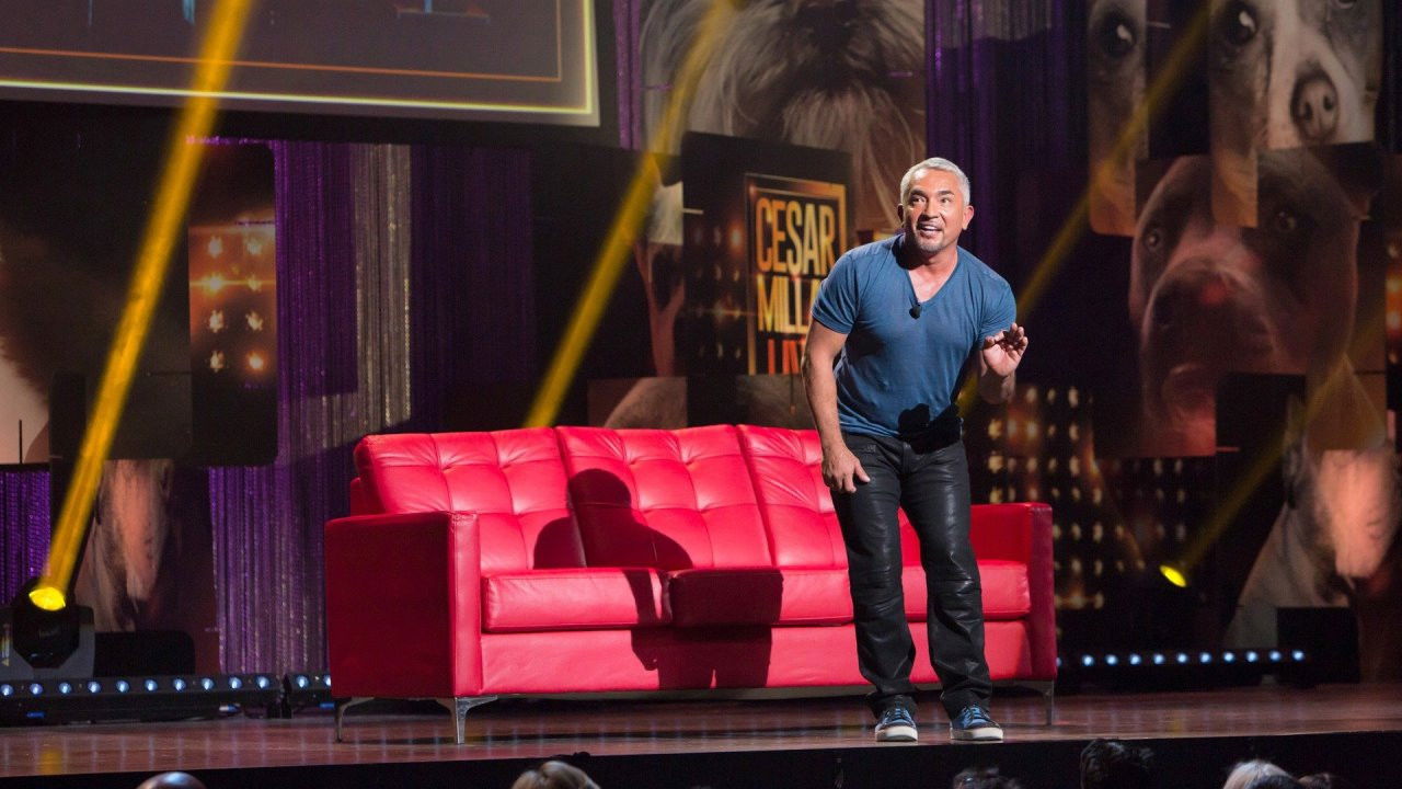 Backdrop for Cesar Millan: Viva Las Vegas!