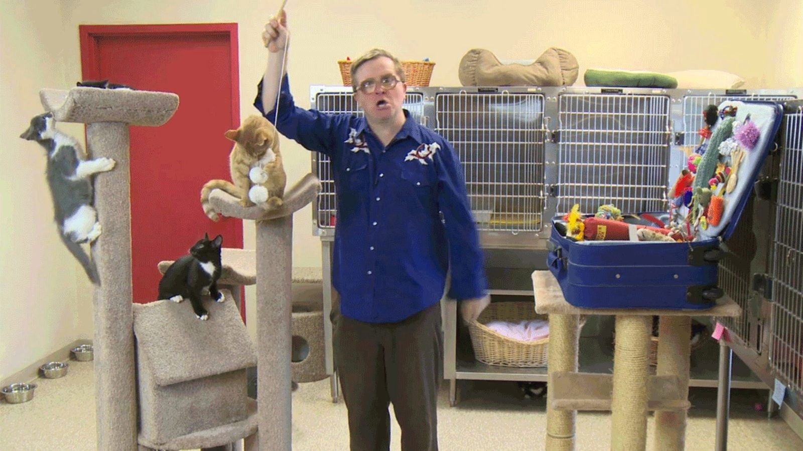 Backdrop for Kitty of the Week