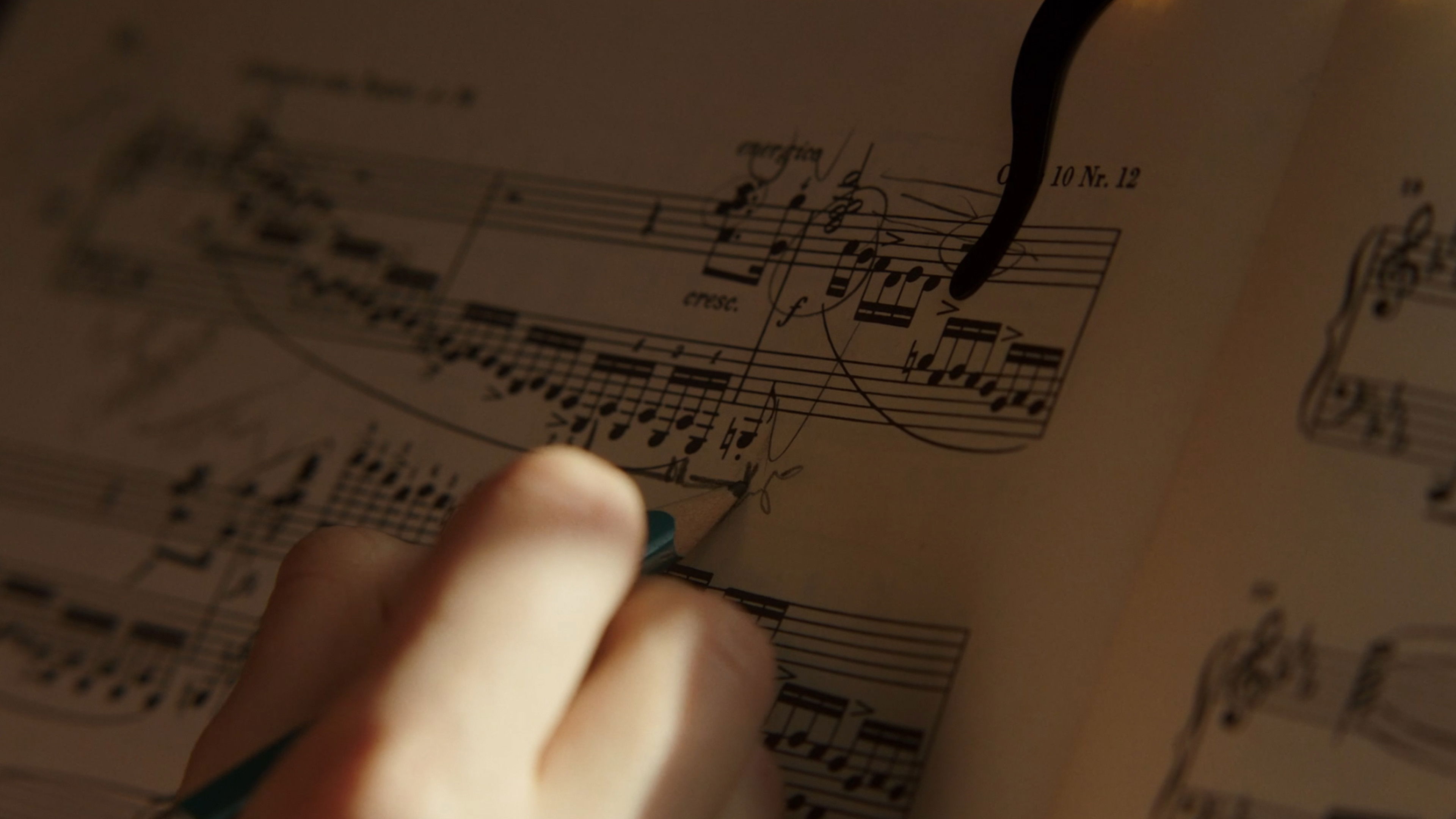 Backdrop for Long Teeth