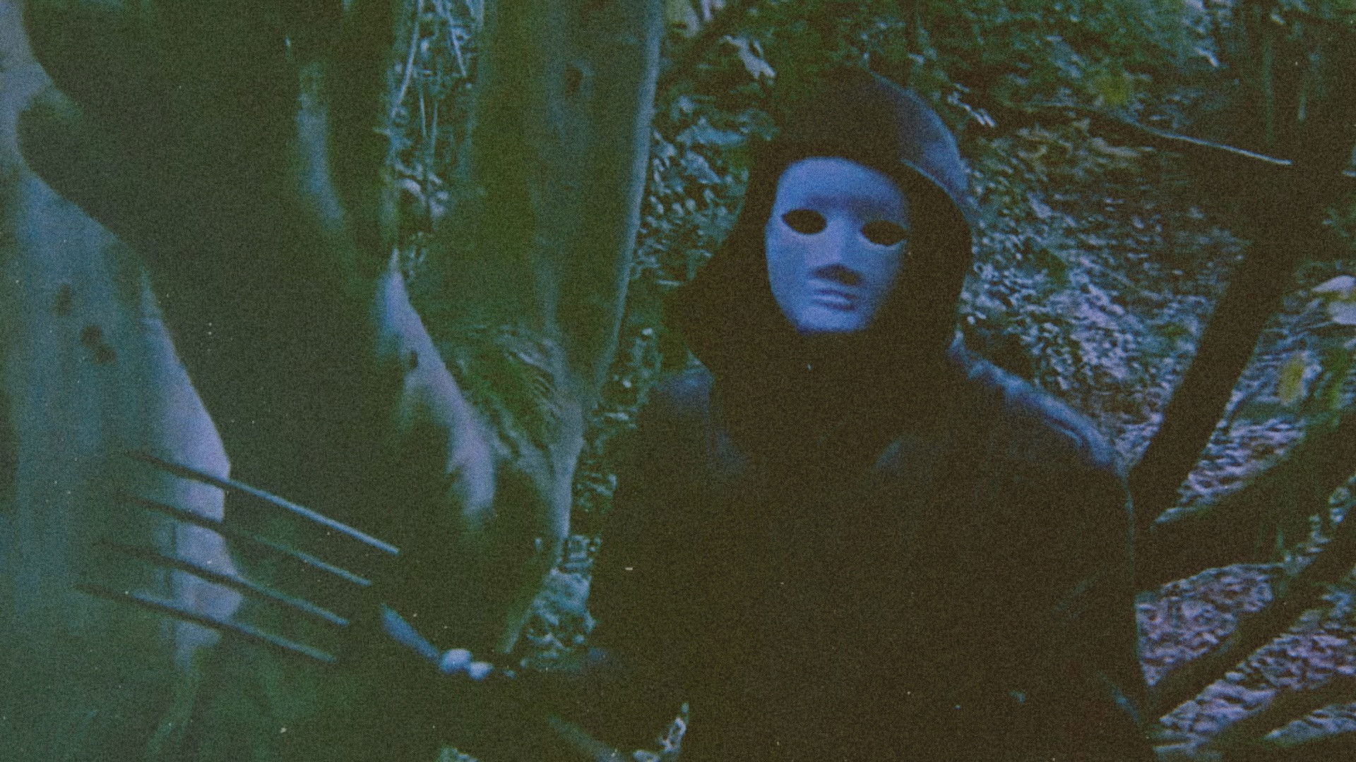 Backdrop for That Night