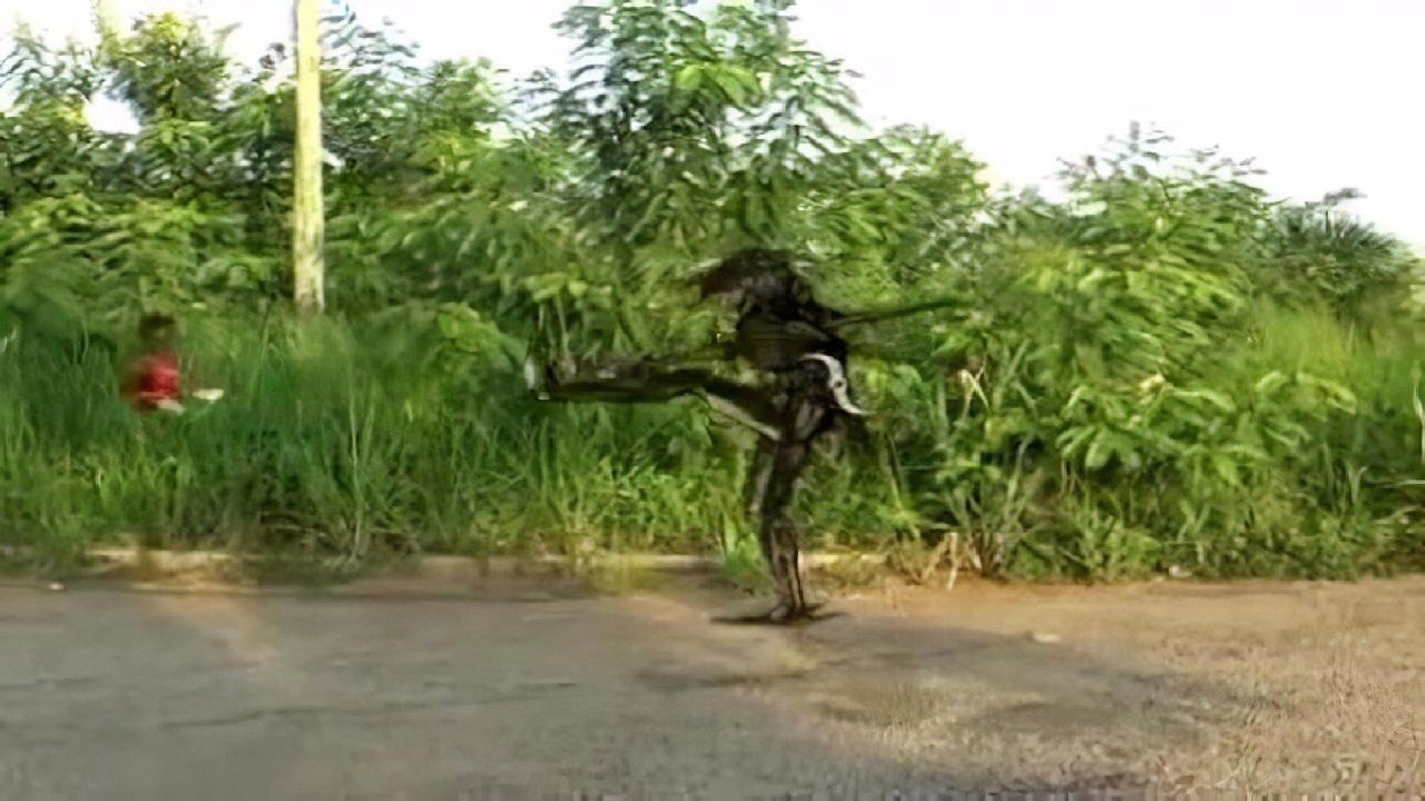 Backdrop for 2016: Part 1