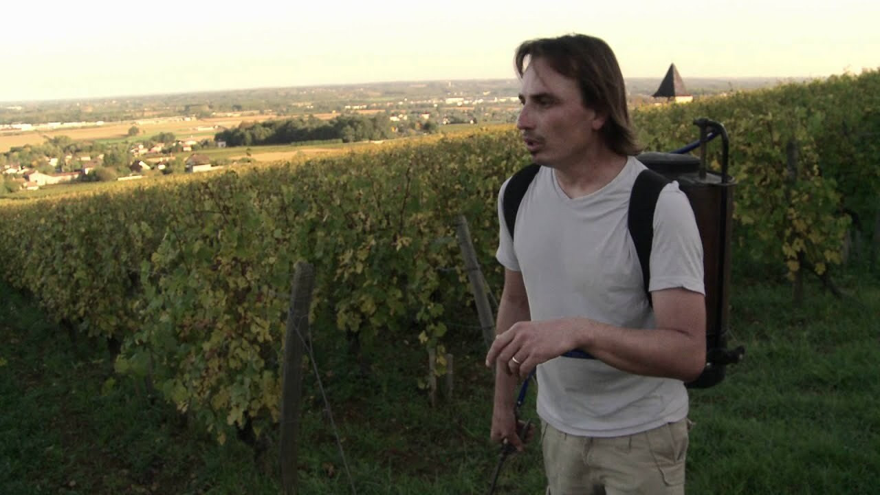 Backdrop for La Clef des Terroirs