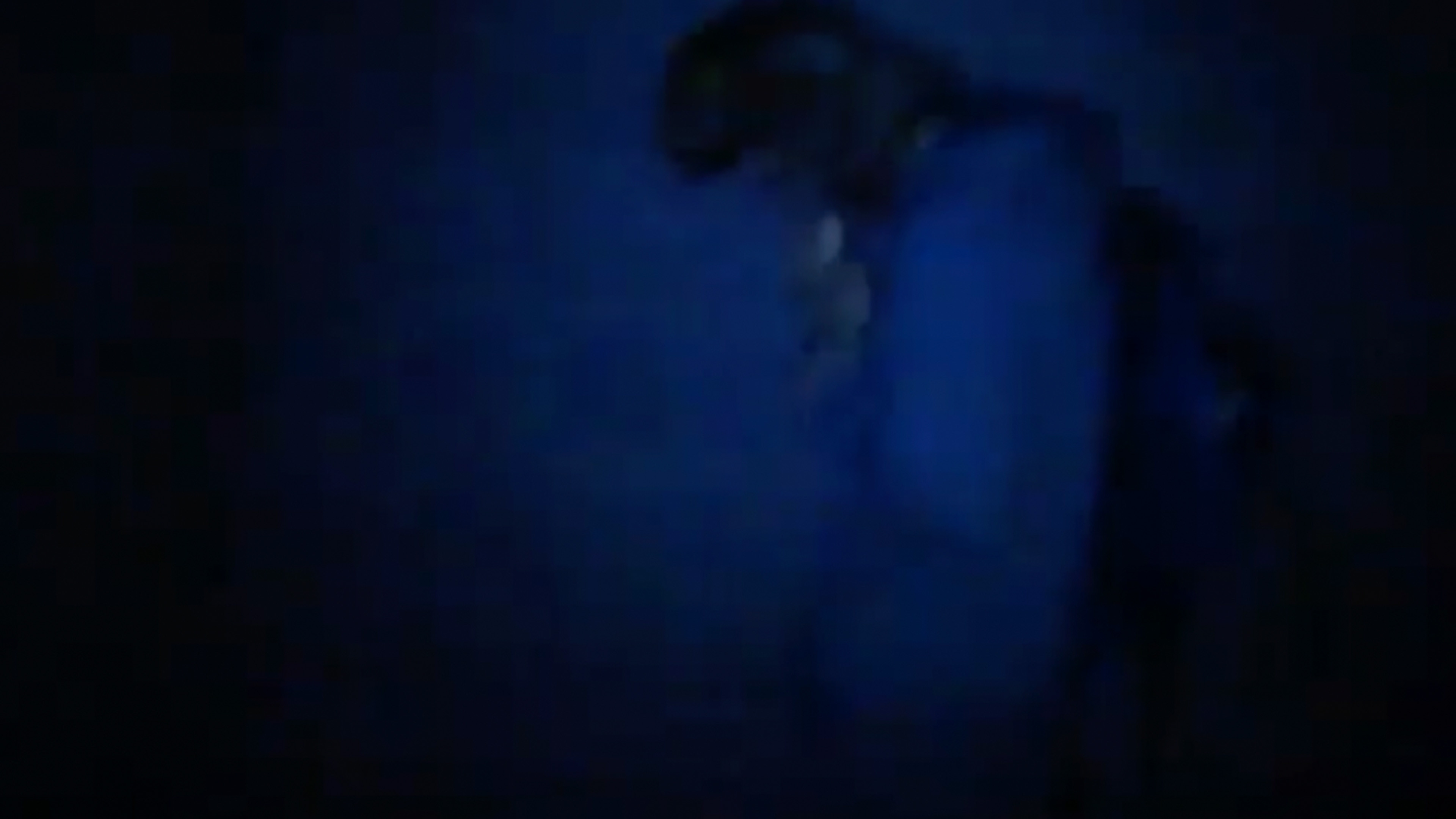 Backdrop for The Jay Monkey Project