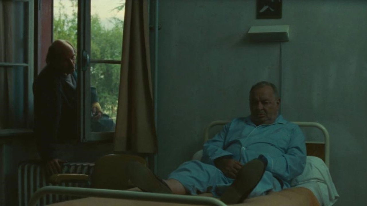 Backdrop for Mischka