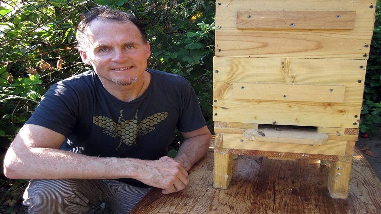 Backdrop for Queen of the Sun: What Are the Bees Telling Us?‎