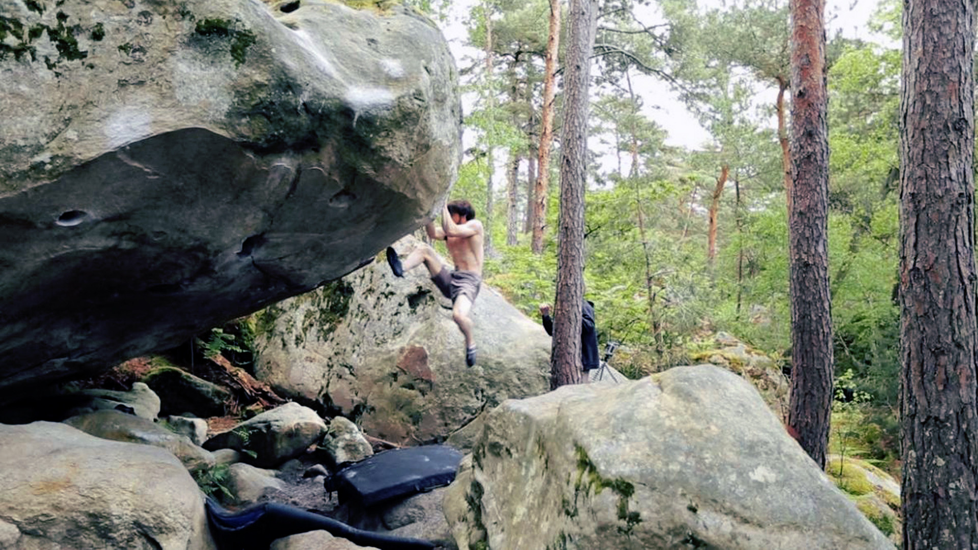 Backdrop for Out of Sight II