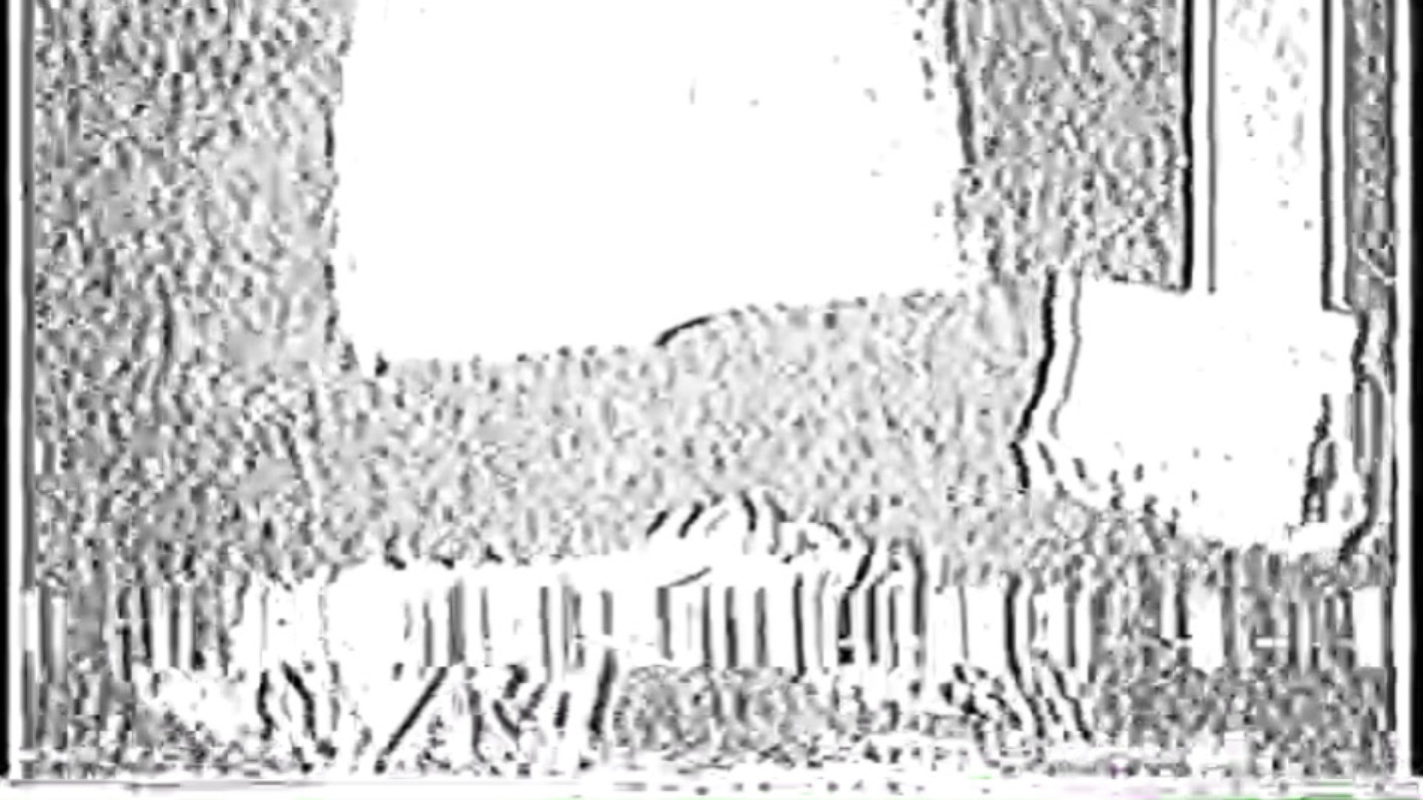 Backdrop for Analog Exposure