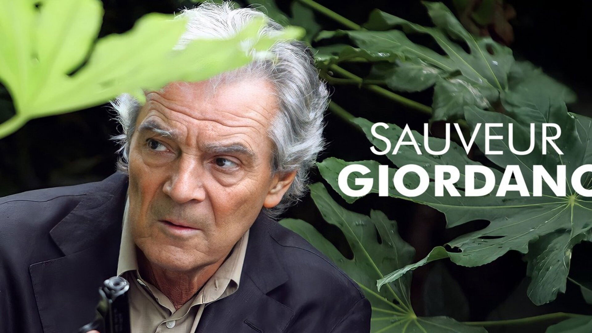 Backdrop for Sauveur Giordano