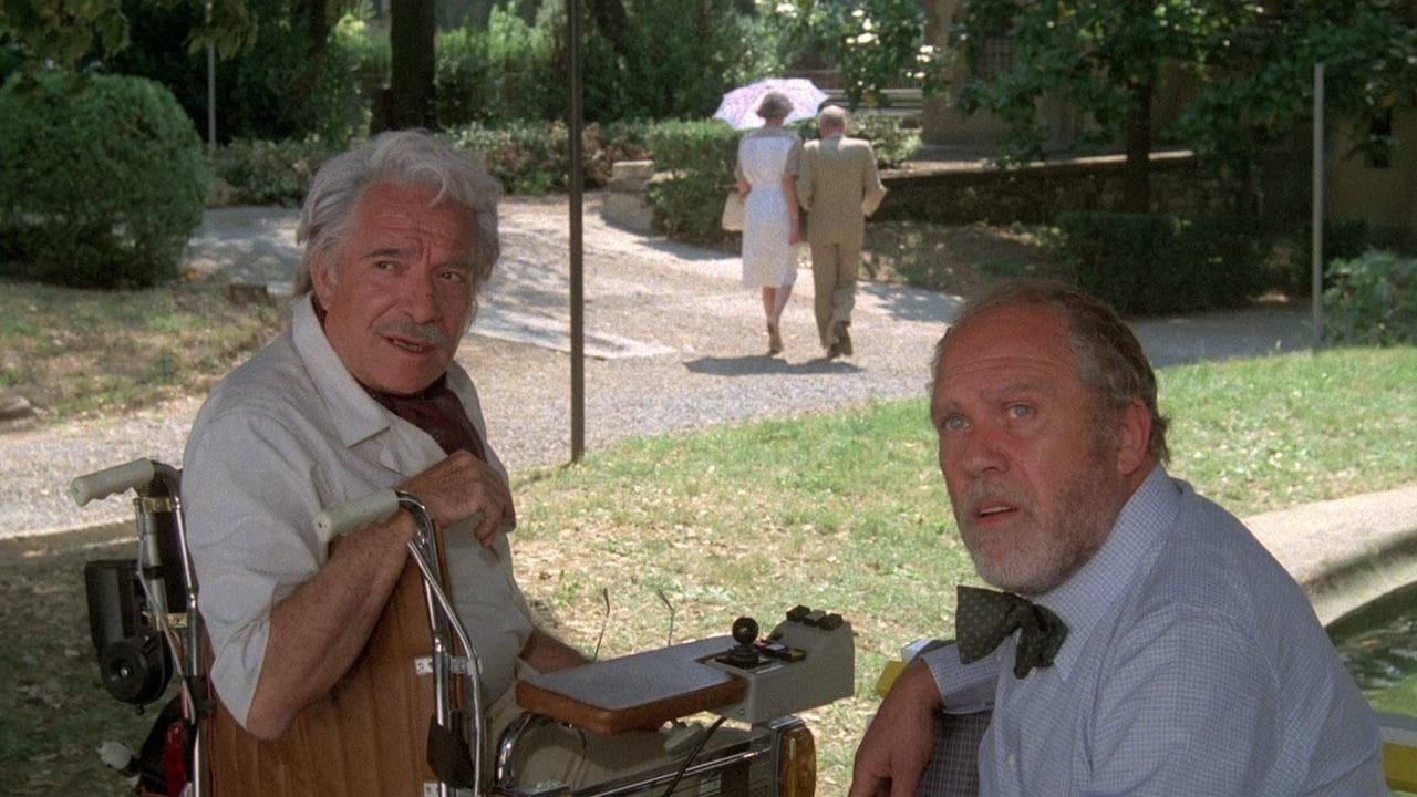 Backdrop for My Friends Act III