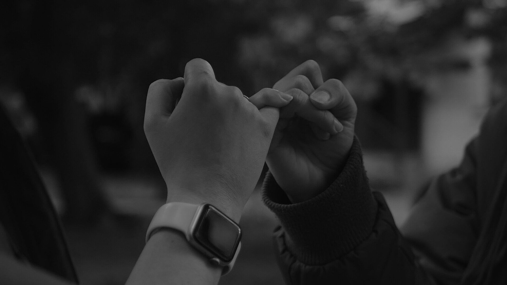 Backdrop for Athena-Pallas