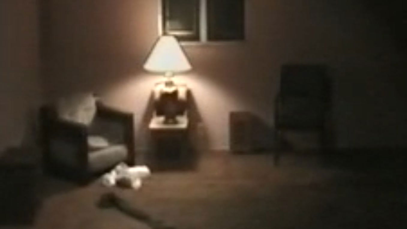 Backdrop for Coyote #1