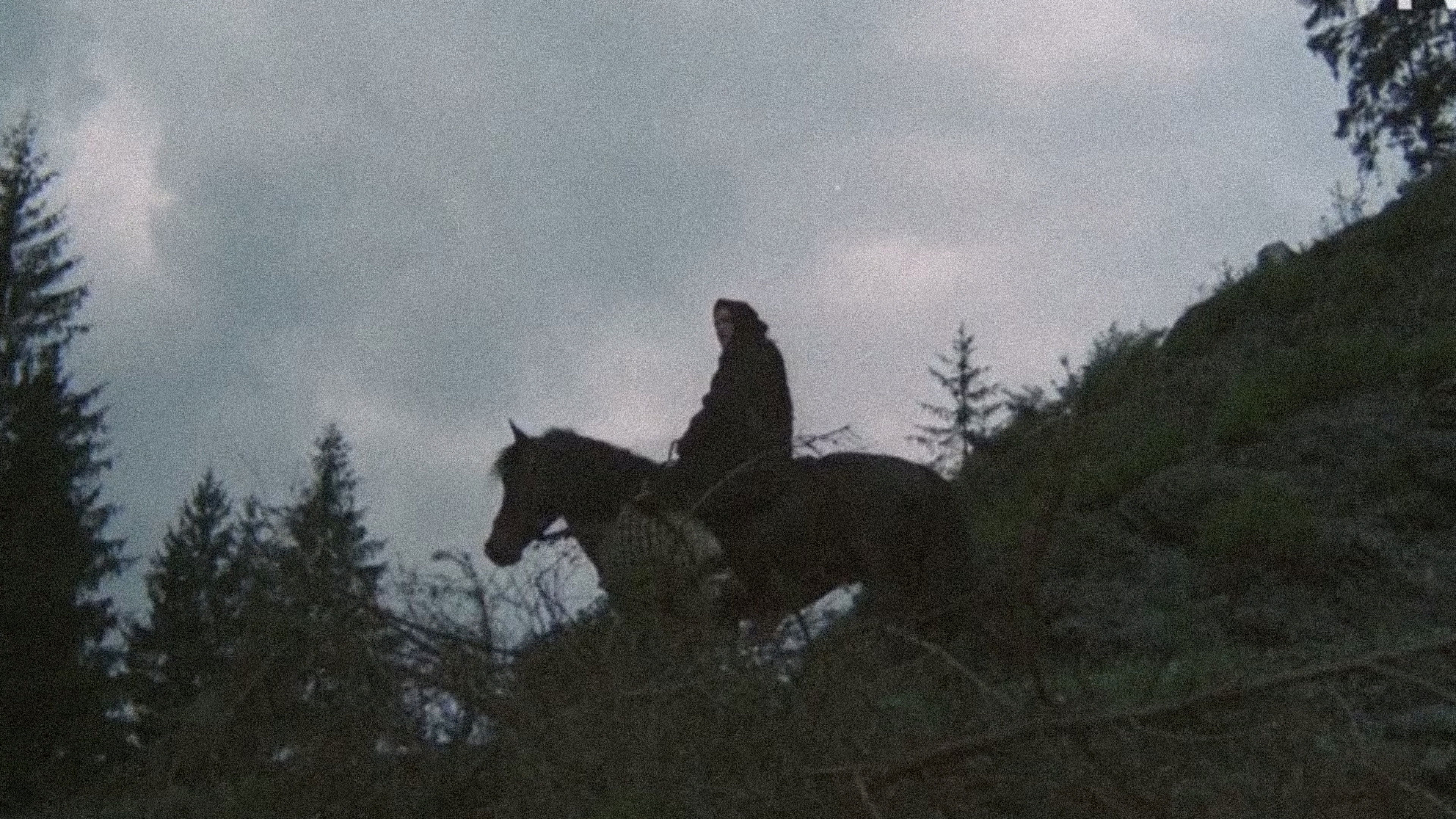 Backdrop for The Axe