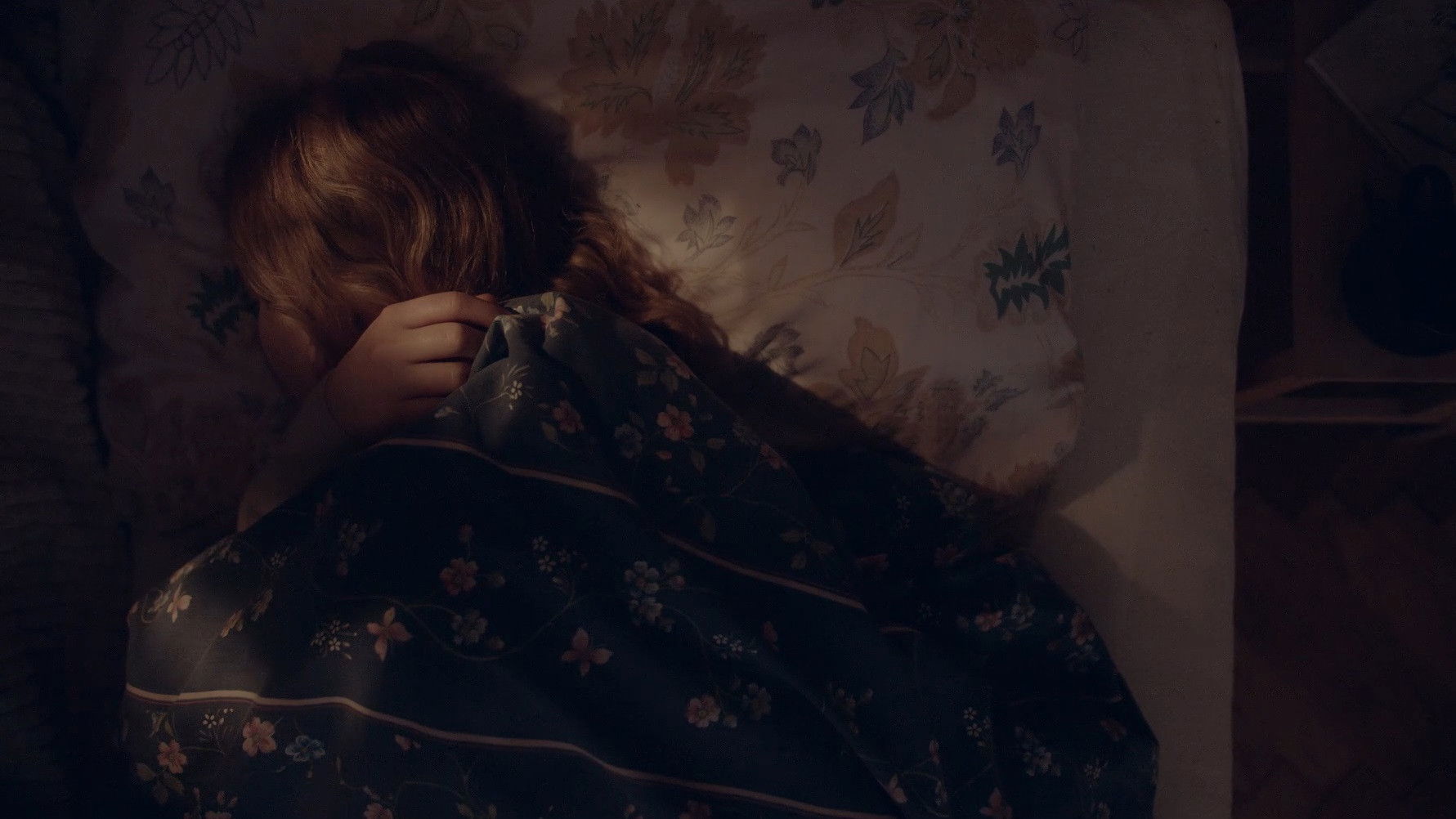 Backdrop for Dogs Do Not Eat Grass