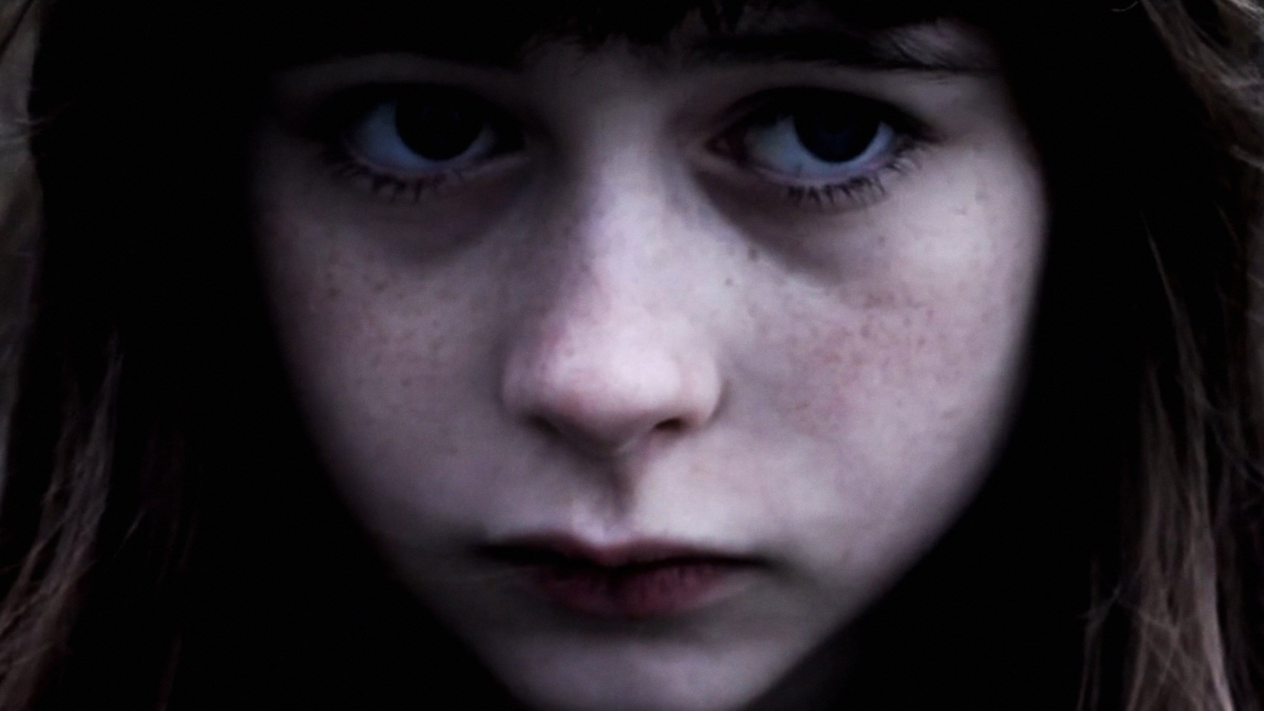 Backdrop for Pigeons Should Fly Freely In the Sky