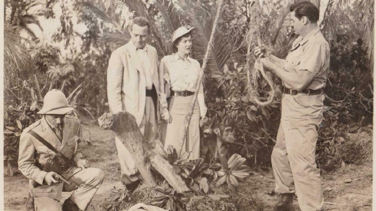 Backdrop for Valley of Head Hunters