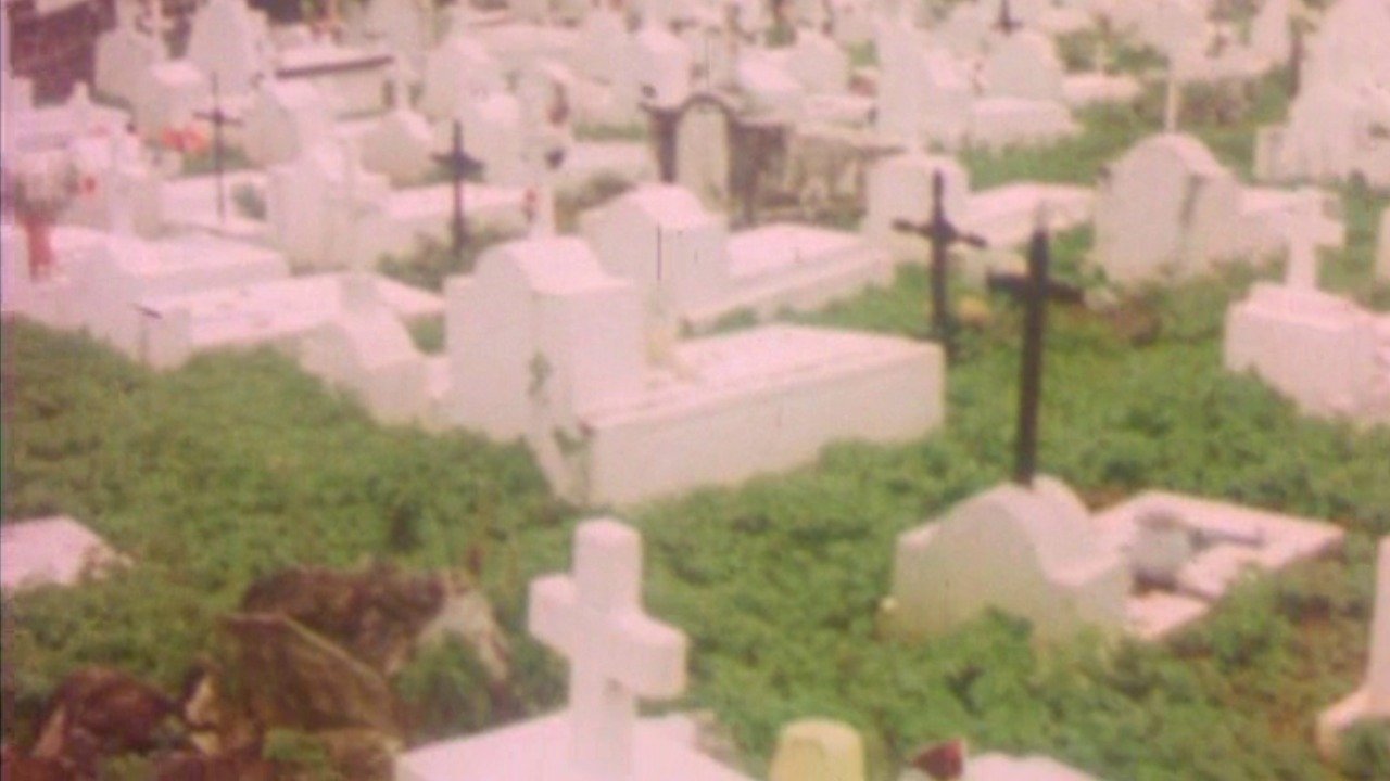 Backdrop for And the Dogs Were Silent