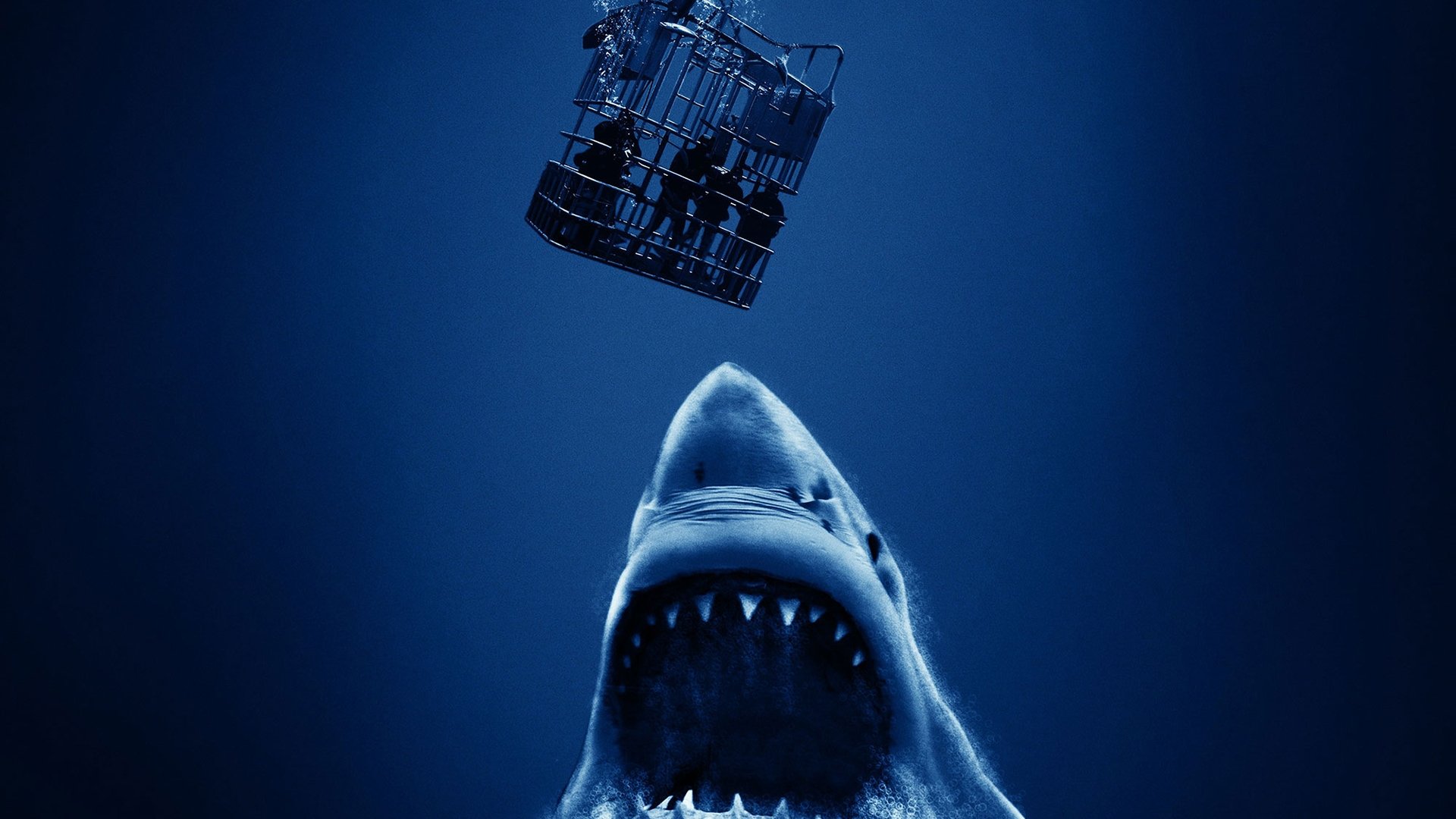 Backdrop for Cage Dive