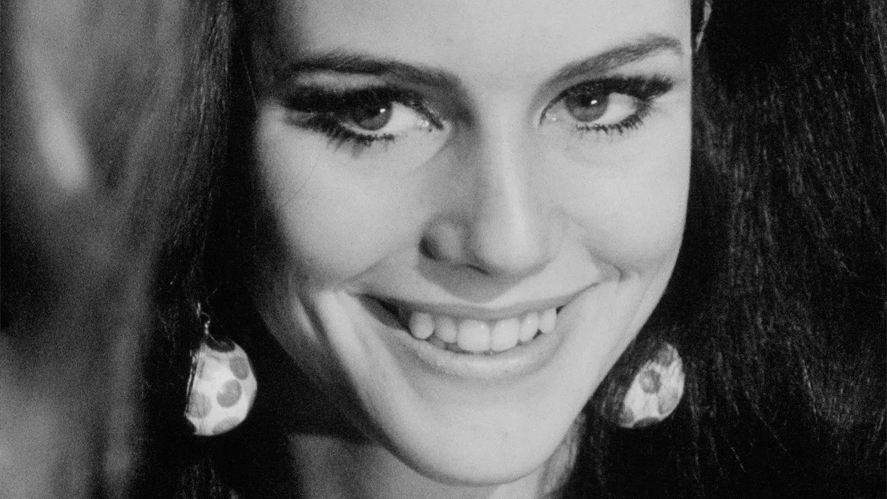 Backdrop for Paraphernalia