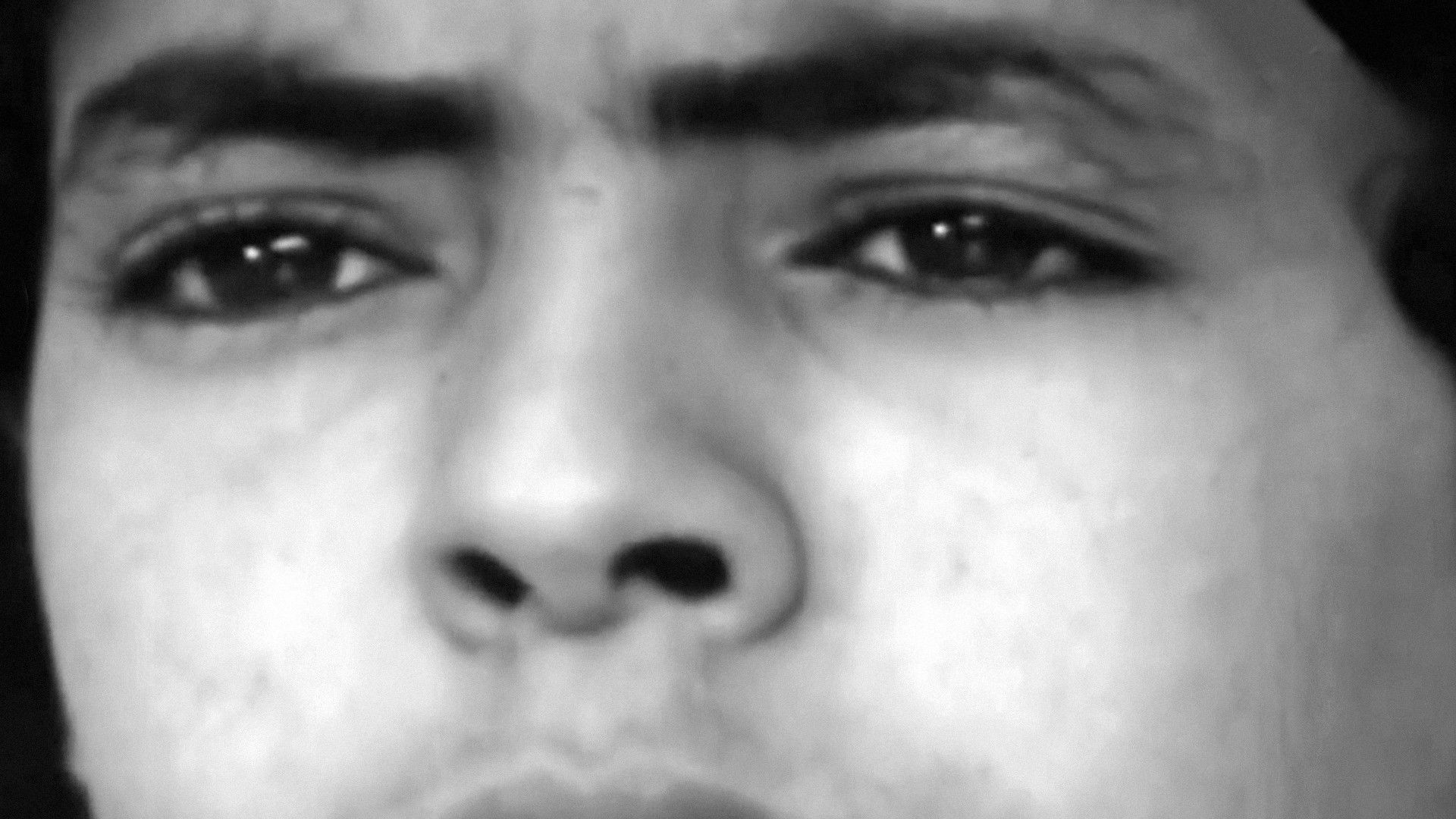 Backdrop for L’Incendie (El Harik)