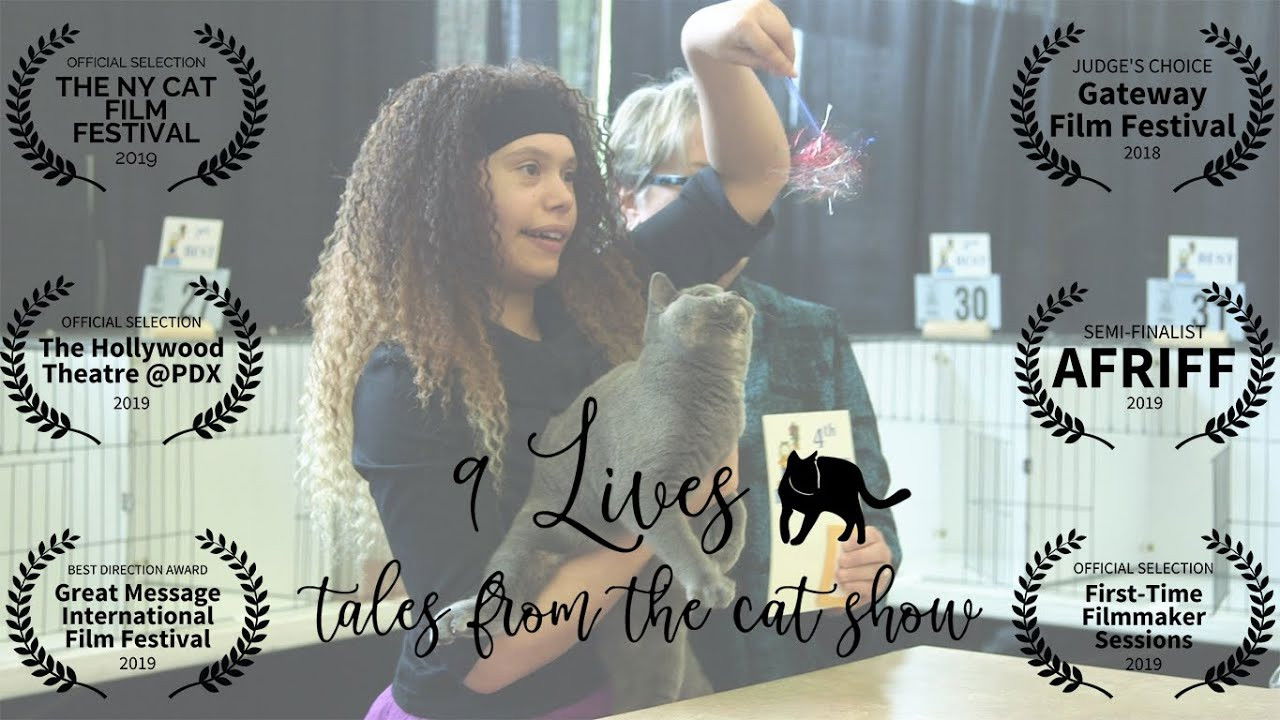 Backdrop for 9 Lives: Tales from the Cat Show