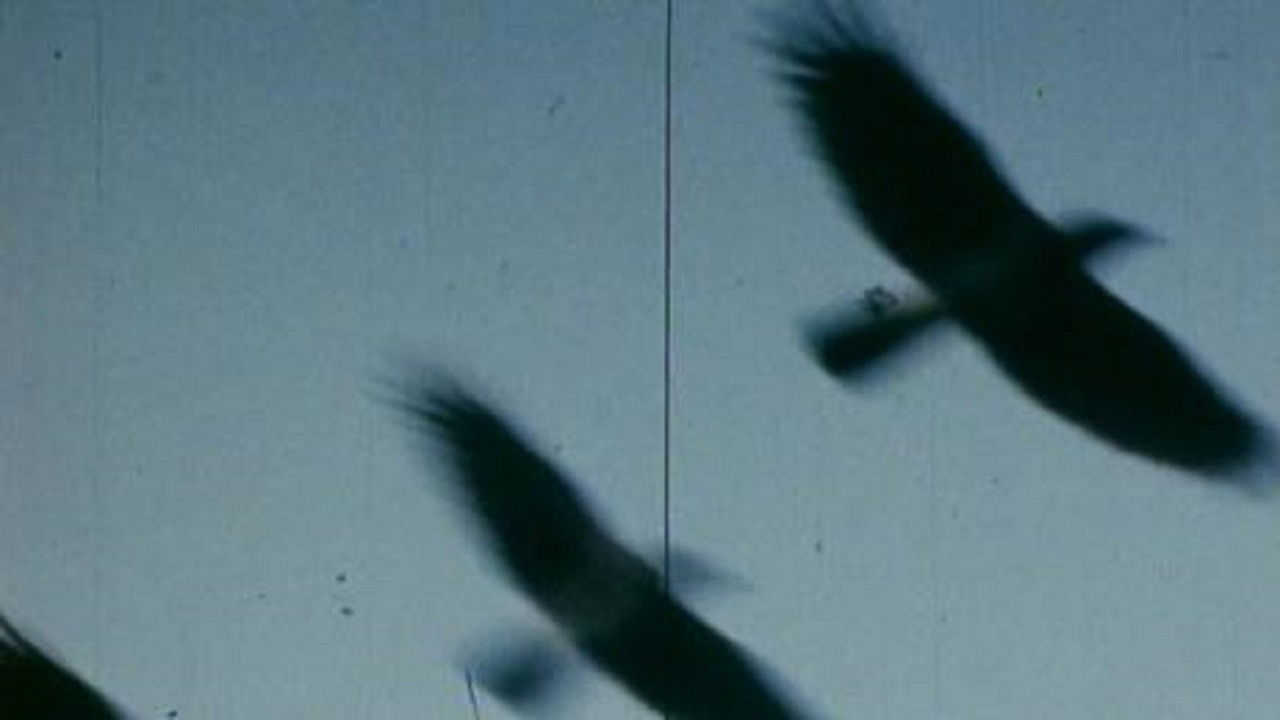 Backdrop for Tell Me