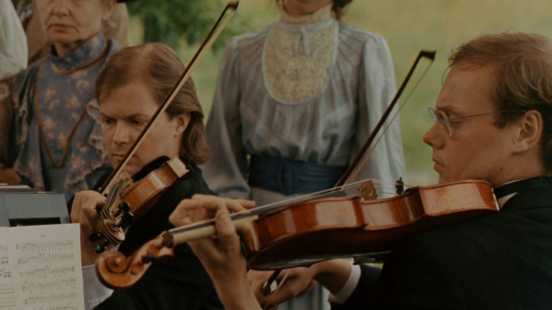 Backdrop for Seagulls