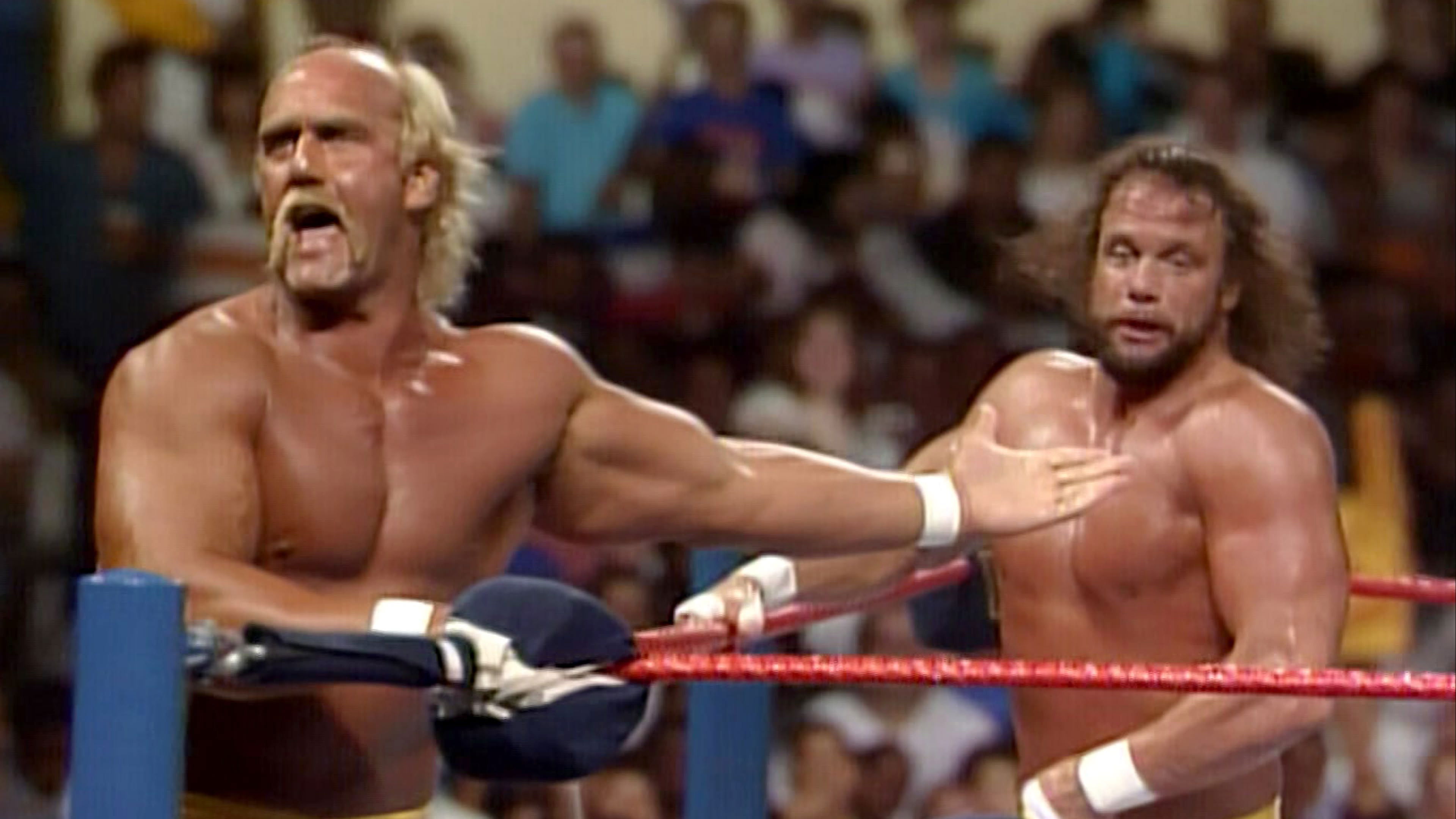 Backdrop for Macho Madness