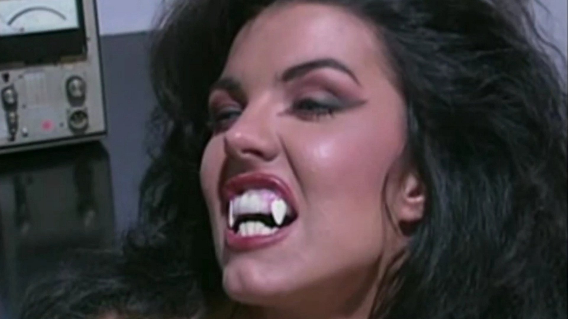 Backdrop for Wild Cats