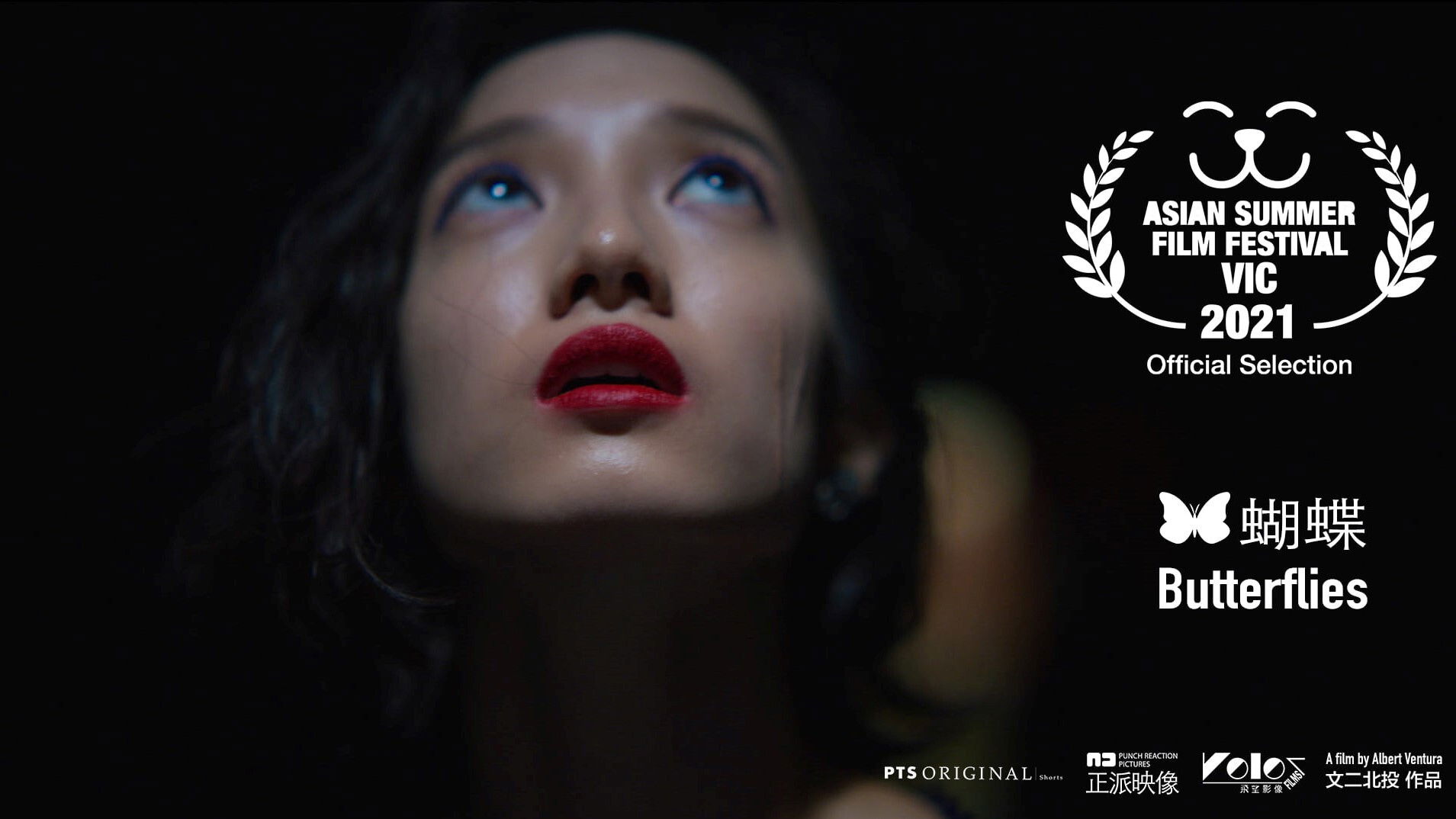 Backdrop for Butterflies