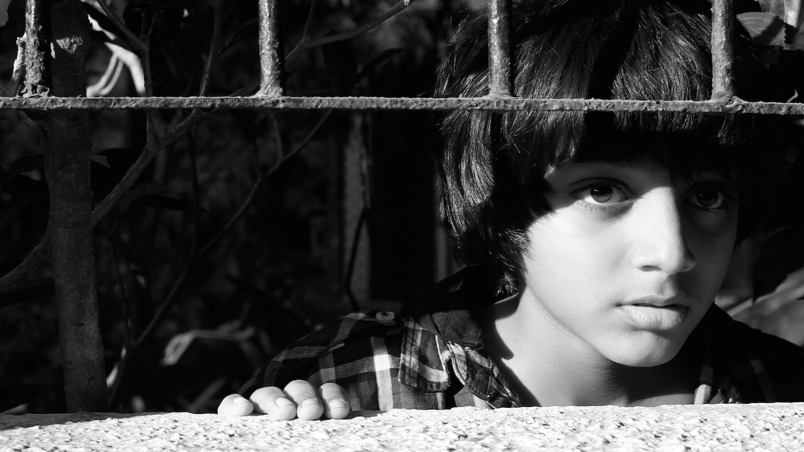 Backdrop for A Billion Colour Story