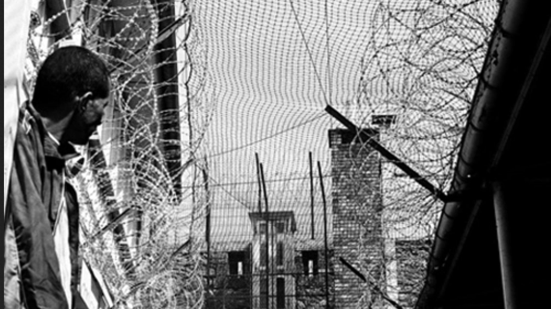 Backdrop for The Price of Freedom