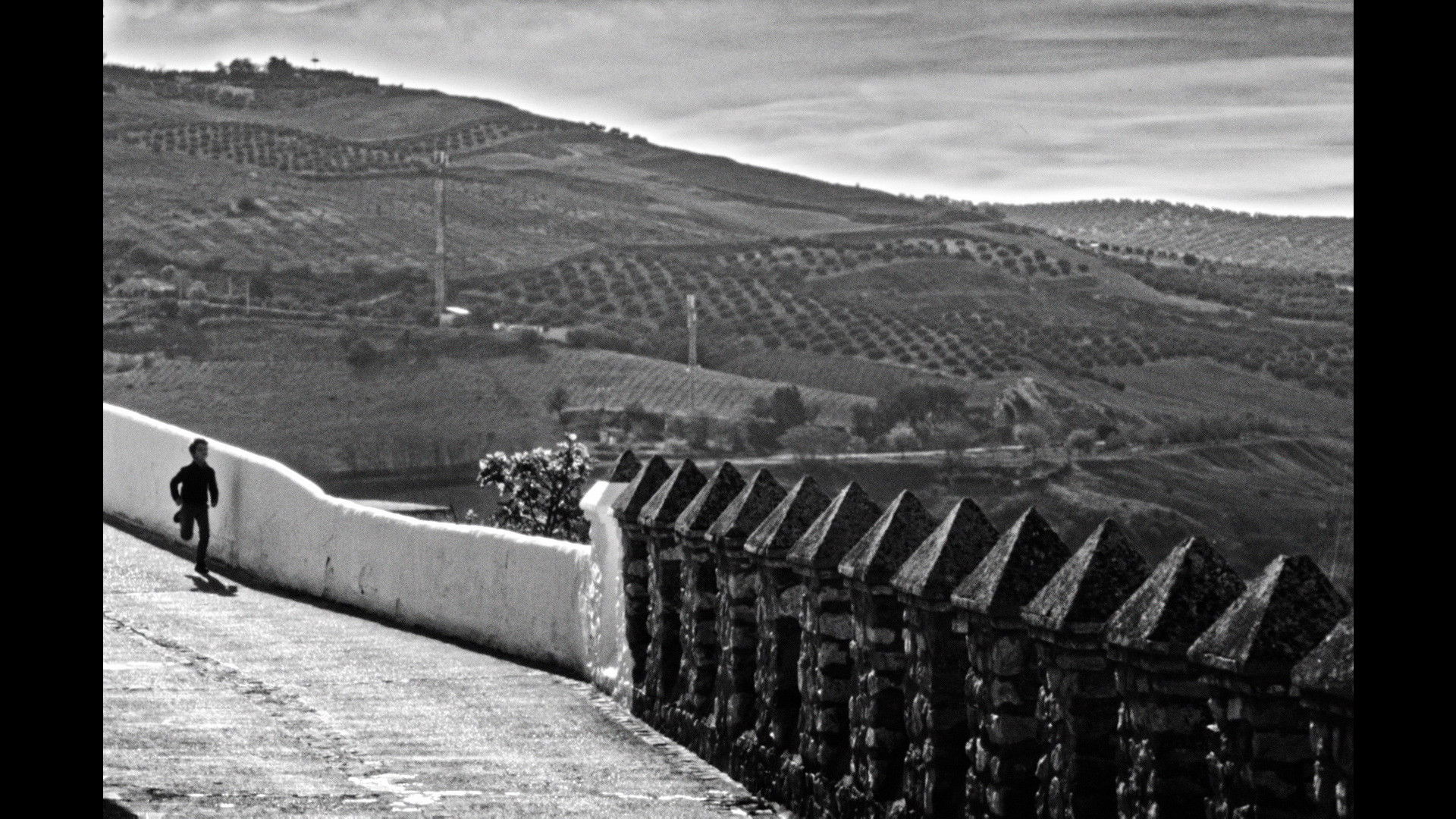 Backdrop for The Trail Left by Time