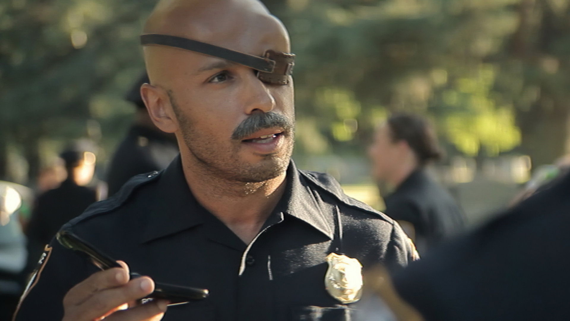 Backdrop for Wrong Cops, The Series