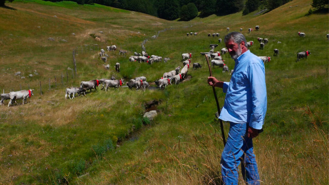 Backdrop for Figli del Minotauro / Storie di Uomini e Animali