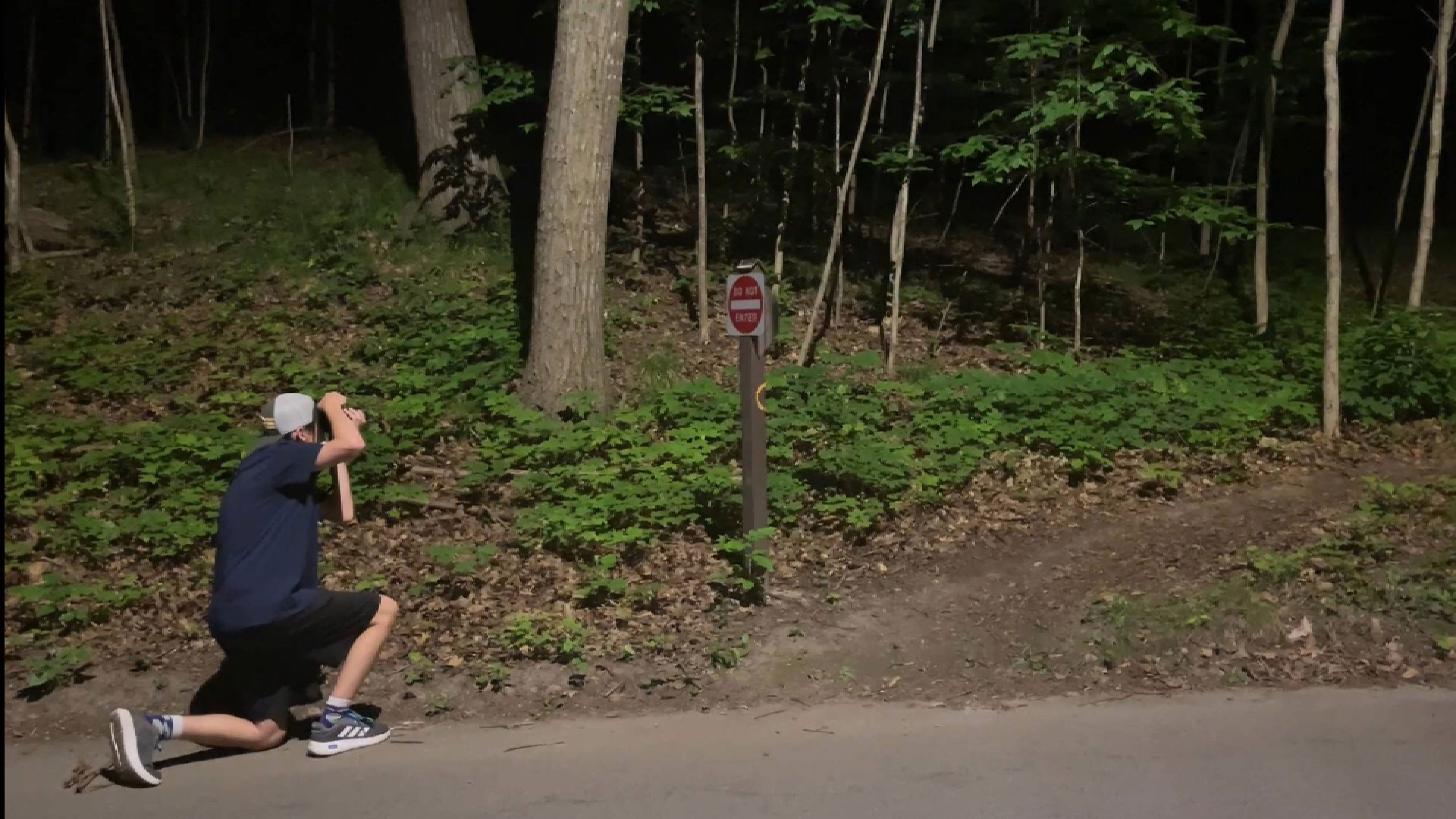 Backdrop for Stabbing in the park